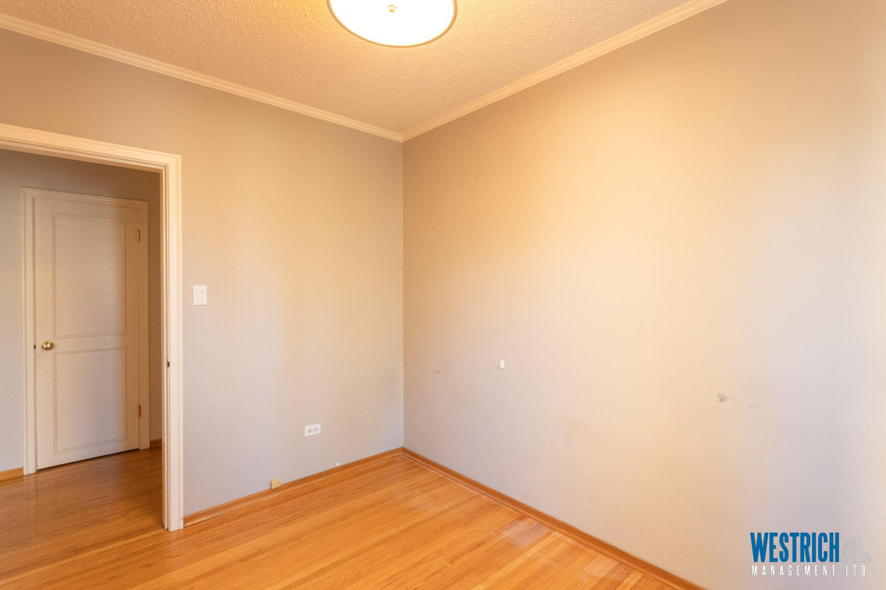 9218 116 St  - Photo 44
