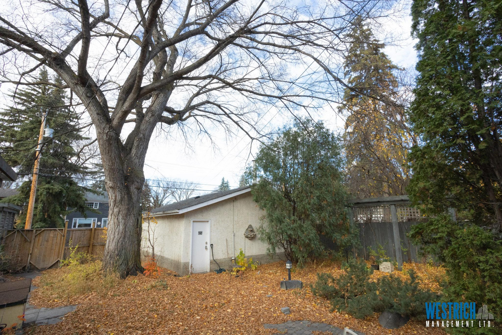 9218 116 St  - Photo 8