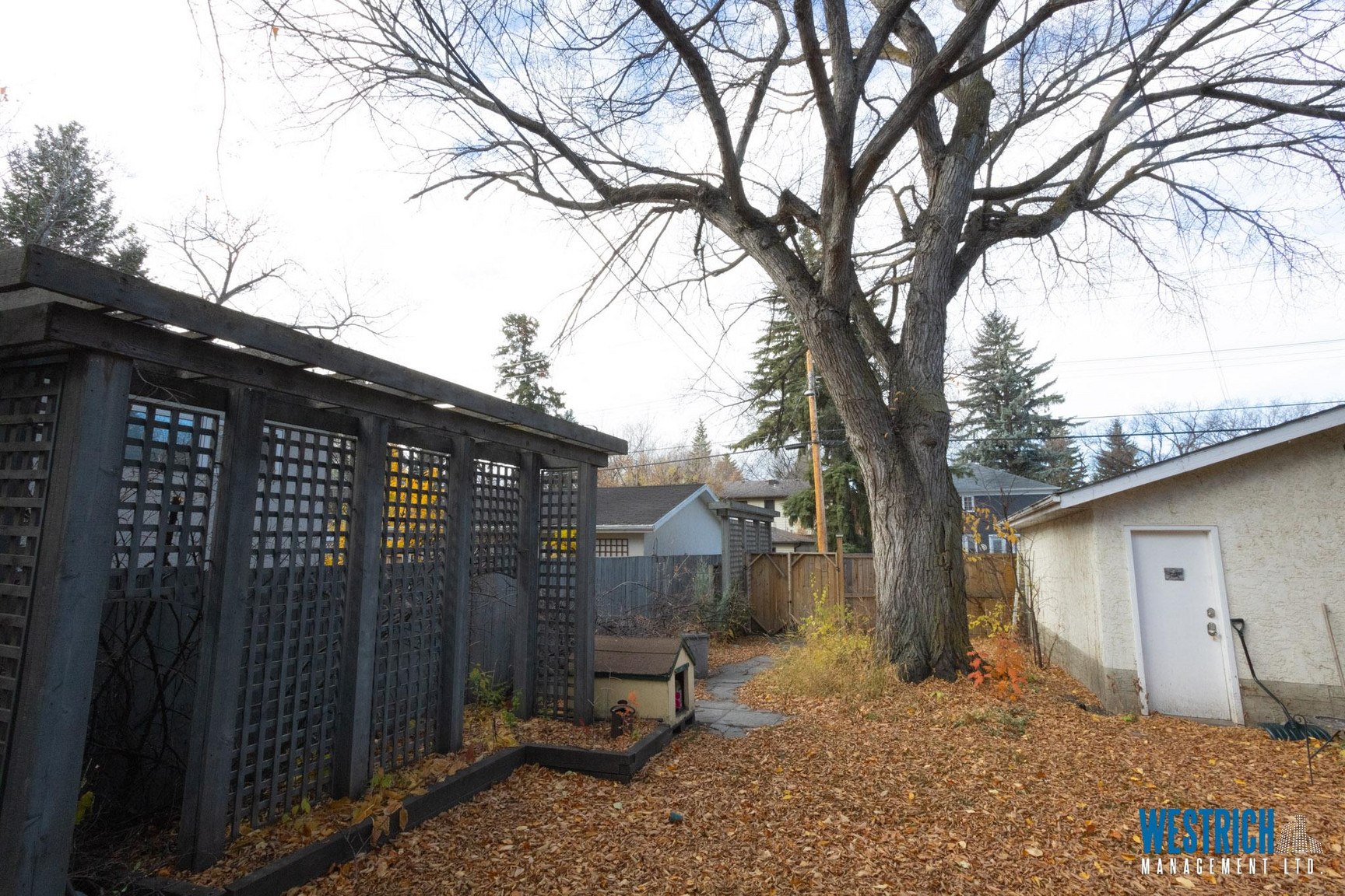 9218 116 St  - Photo 6