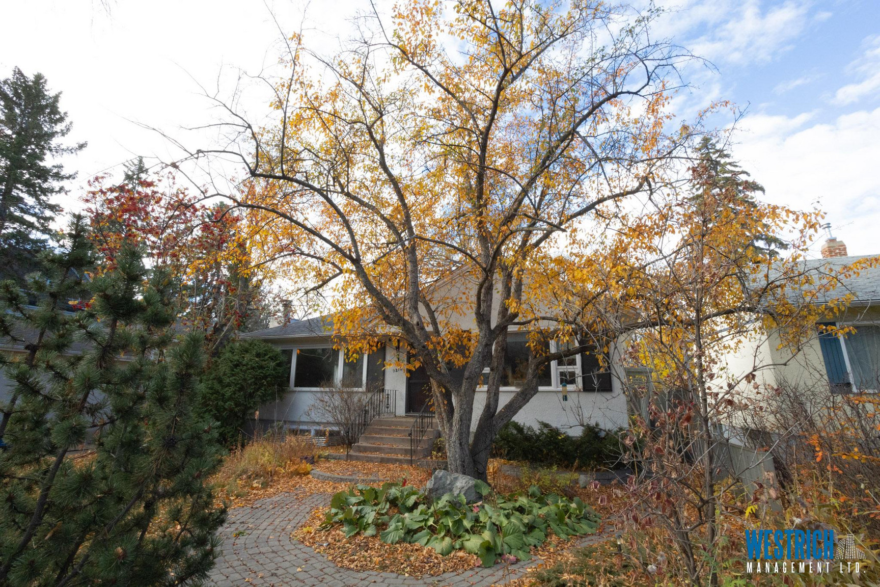 9218 116 St  - Photo 4