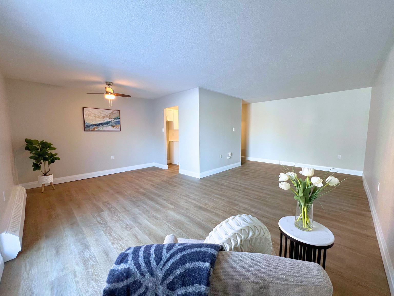 Regency Court Apartments - Speedvale - Choose your rent level - Call for Details - All utilities ... - Photo 8