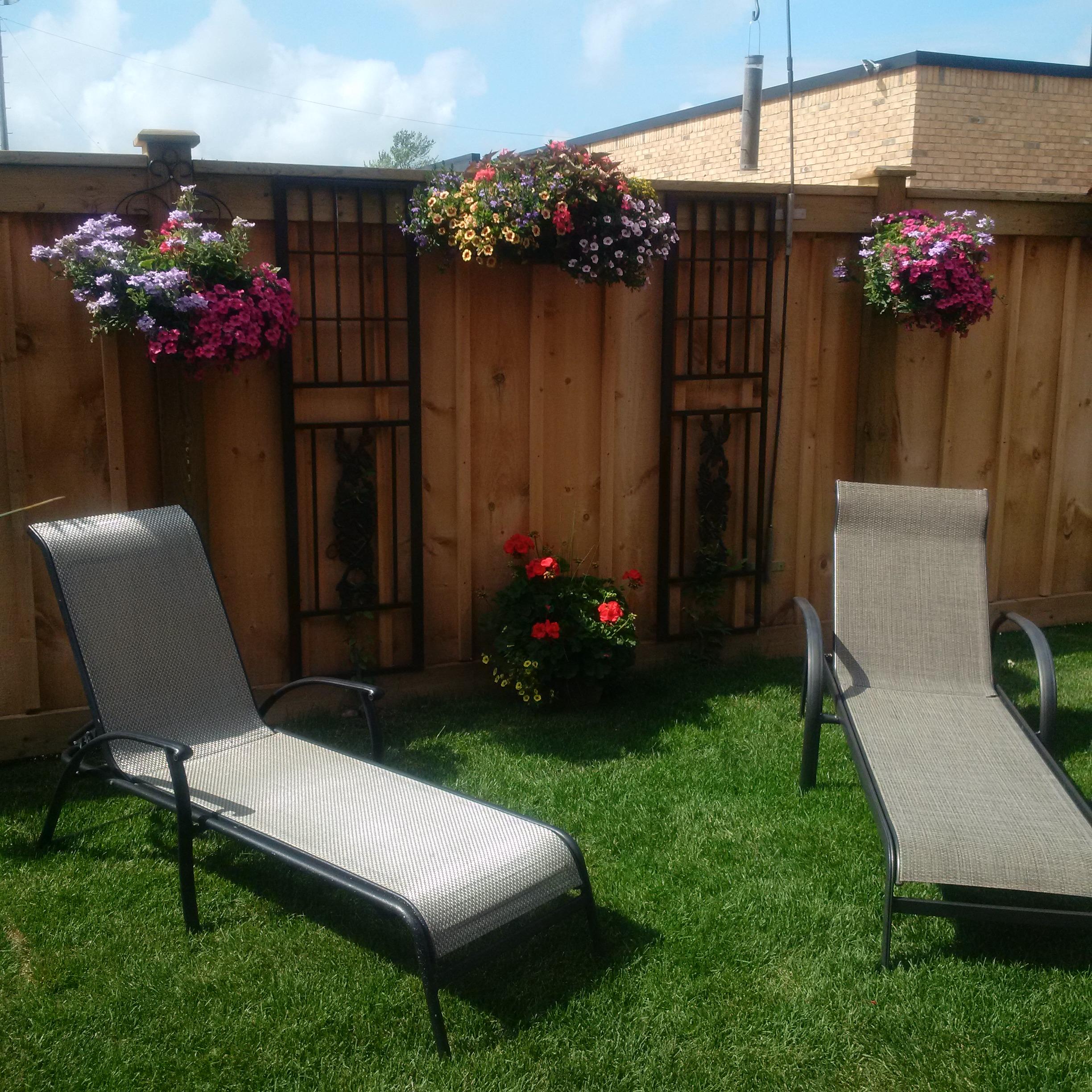 51 Inkerman Street, Guelph, ON N1H 3C6 — photo 3