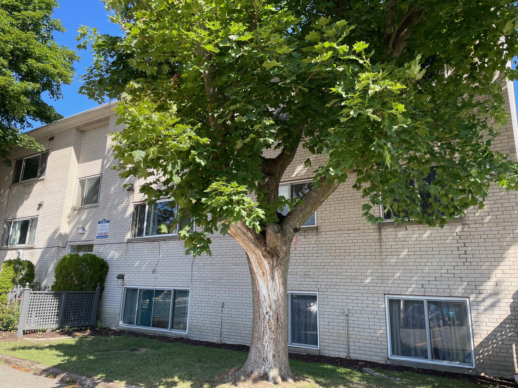 47 Princess Dr., Sault Ste. Marie, ON P6B3P4 — photo 3