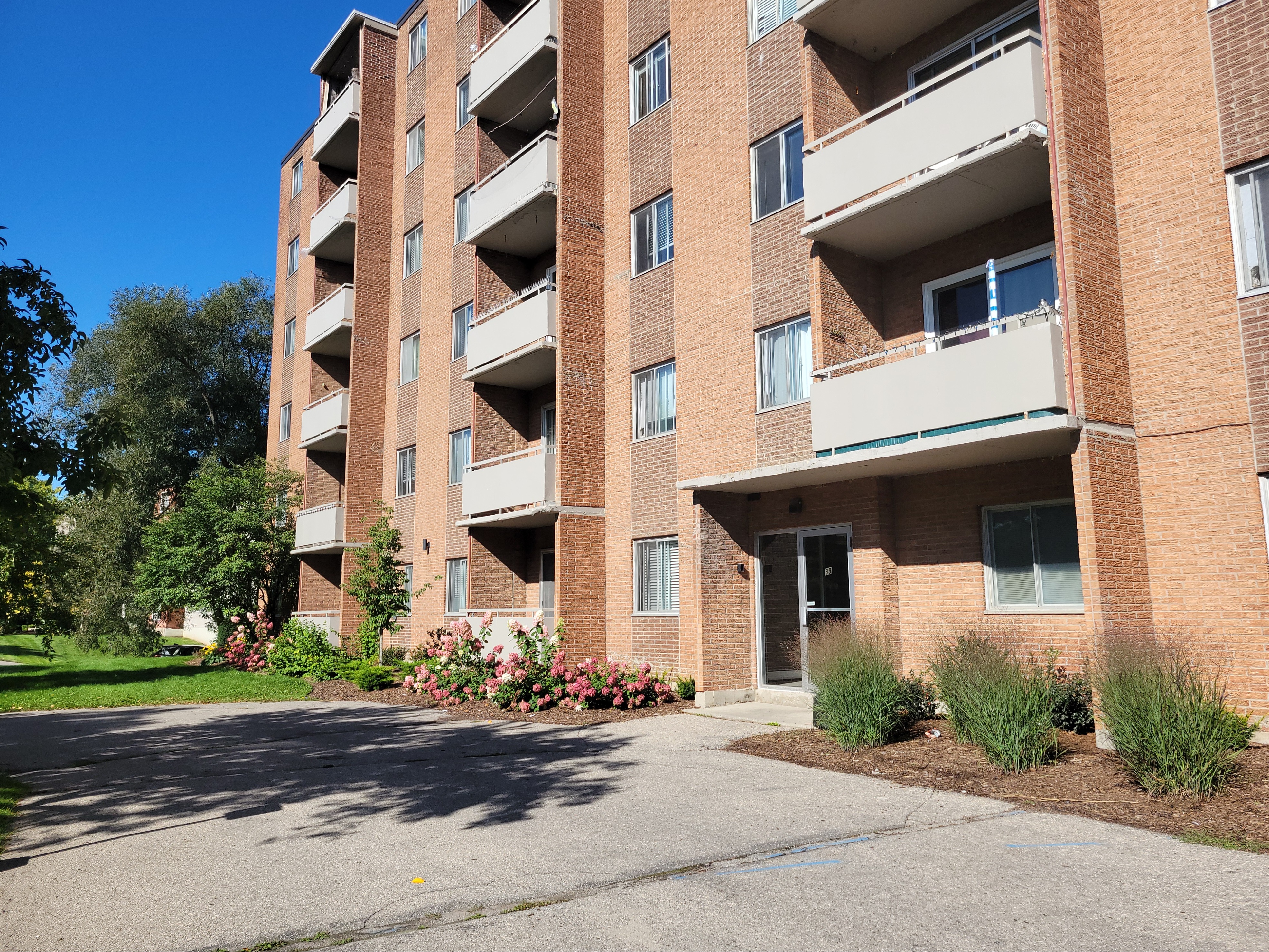 89 Raymond Street, Guelph, ON N1H 3S4 — photo 3