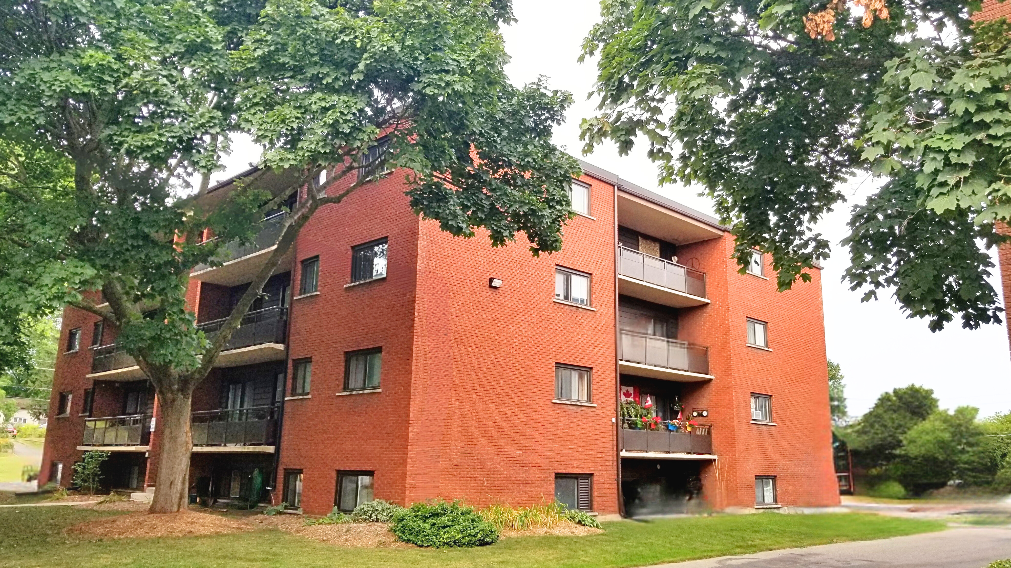 70 William Street, Guelph, ON N1E 5E6 — photo 3