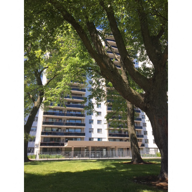 2550 Kingston Road - Photo 4