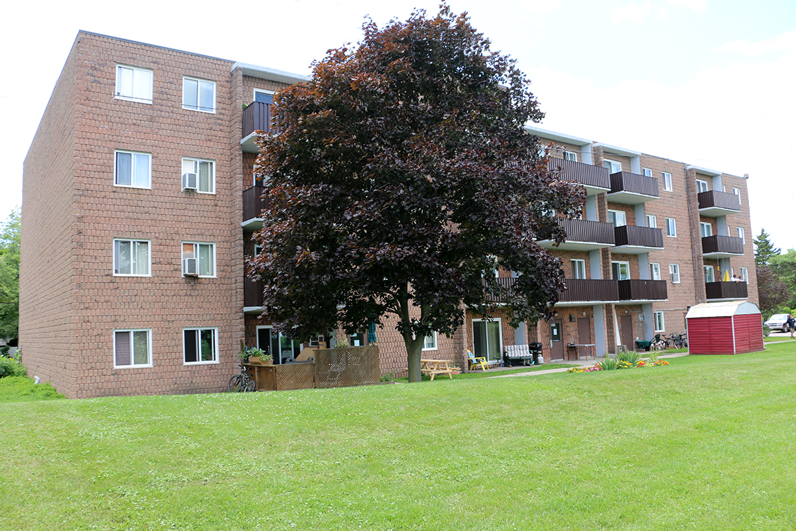 45 Victoria Ave, Ridgetown, ON N0P 2C0 — photo 1