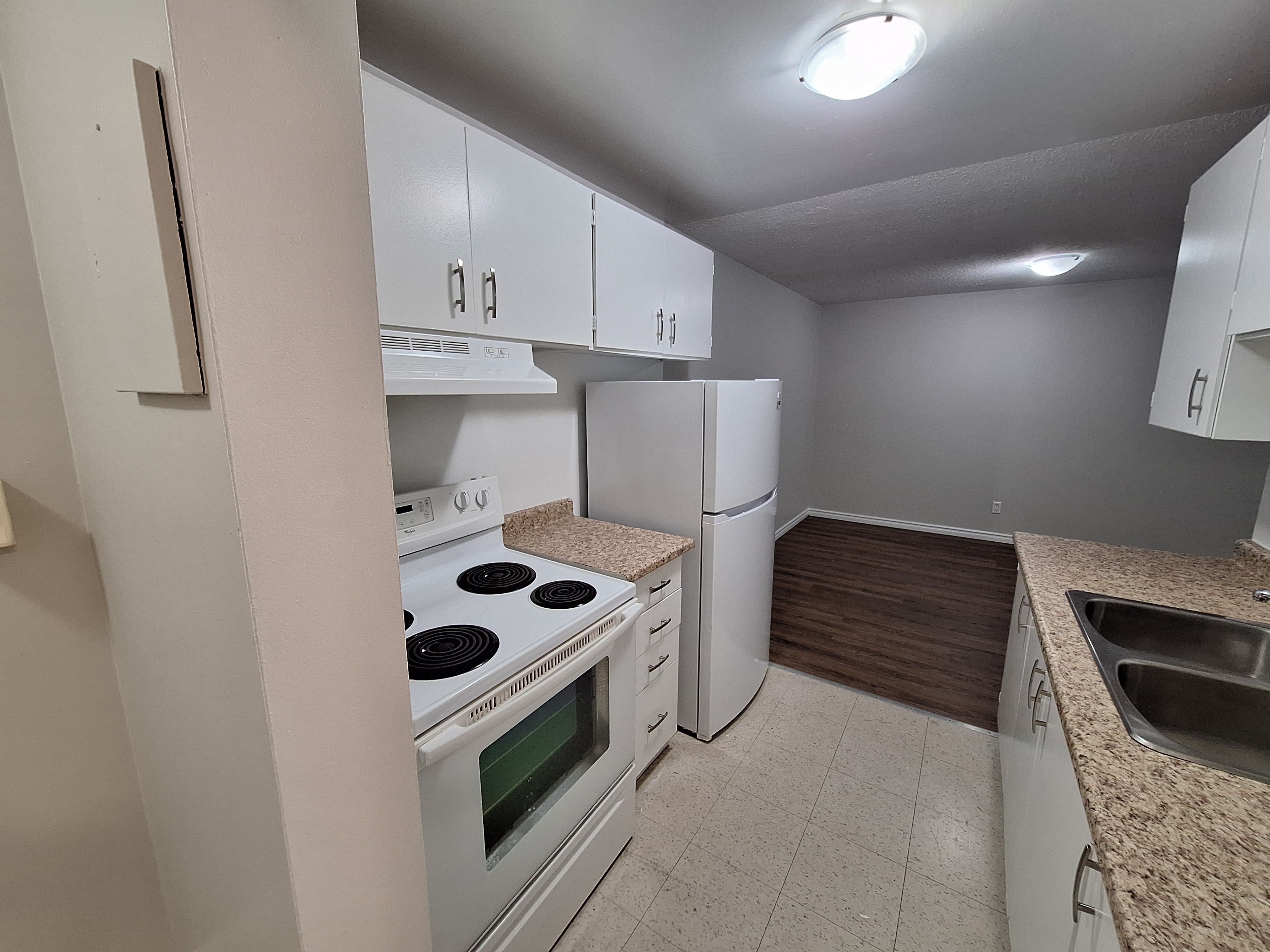 45 Victoria Ave, Ridgetown, ON N0P 2C0 — photo 3